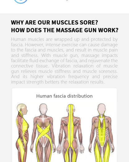 Quiet Deep Tissue Massager for Gym & Home Recovery